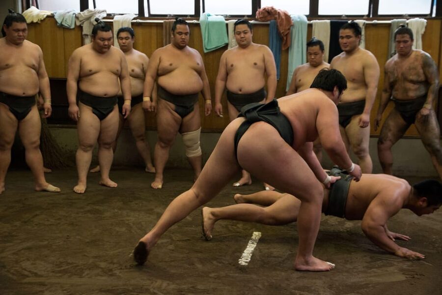 Tokyo: Sumo Morning Practice Viewing Tour - Photo time with wrestlers, when it happens