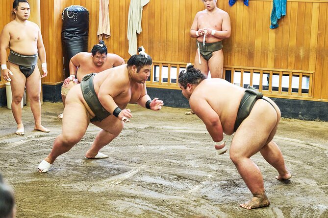 Tokyo: Sumo Morning Practice Viewing Tour at a Real Stable - Key Highlights You Should Know