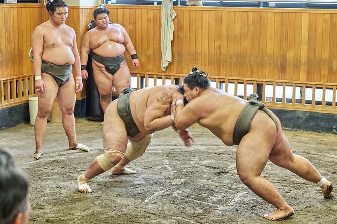 Tokyo: Sumo Morning Practice Viewing Tour at a Real Stable - Why a Real Tokyo Sumo Stable Visit Feels Different Than a Show