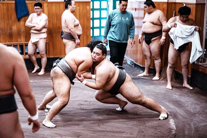 Tokyo: Sumo Morning Practice Viewing Tour at a Real Stable - Morning Practice Up Close: Rules, Rituals, and the Wrestling You Can Hear