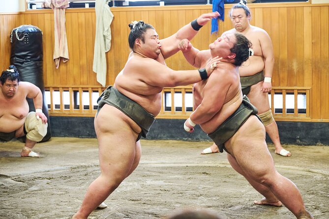 Tokyo: Sumo Morning Practice Viewing Tour at a Real Stable - Getting There Early: Kiyosumi-Shirakawa Station and the 9:00 Practice Window