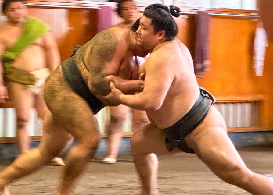 Tokyo: Sumo Morning Practice with journalists. Not fake show - Real sumo morning practice, not a staged show