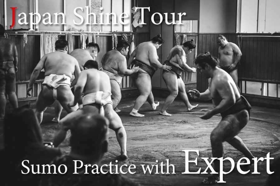 Tokyo: Sumo Morning Practice with journalists. Not fake show - Takasago-beya Sumo Stable: rituals, hierarchy, and floor time