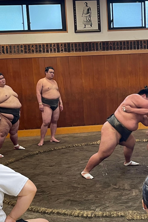 Tokyo: Sumo Morning Practice with Photo Banzuke and Guide - What you see during practice: power, technique, and constant resets
