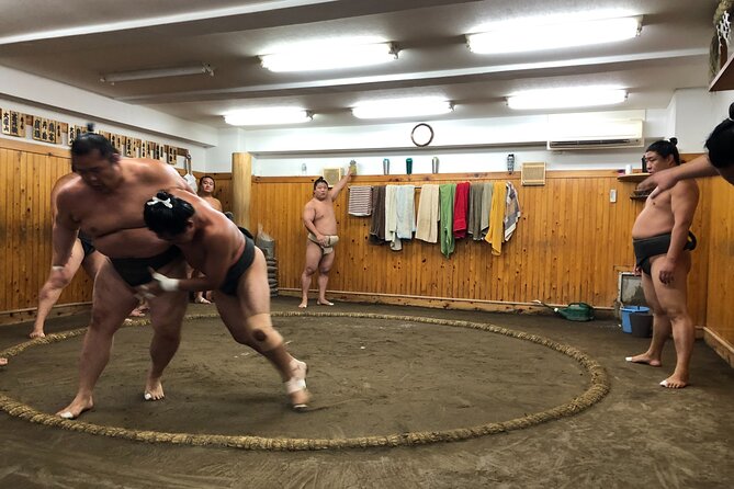 Tokyo Sumo Morning Training/ Sumo Practice with Wrestlers - Stop 2: Watching Training Inside the Stable, Up Close