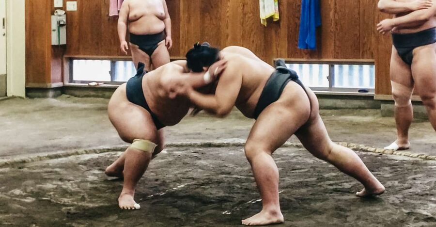 Tokyo: Sumo Morning Training Visit - Finding the Stable: Your Best Plan When the Address Changes