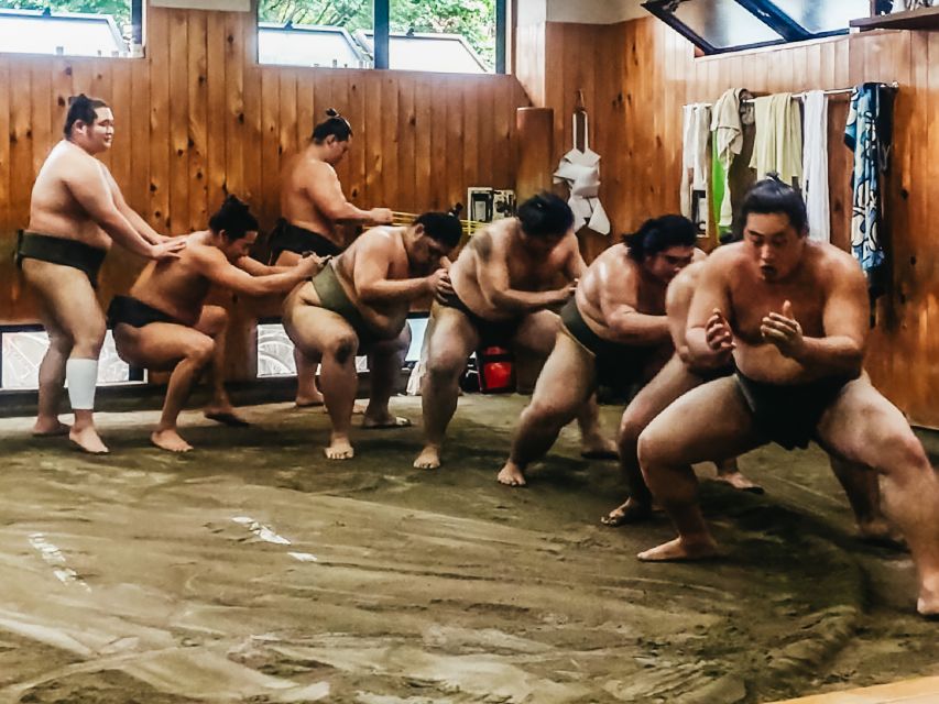 Tokyo: Sumo Morning Training Visit - Group Photo: How to Make Sure You Get It