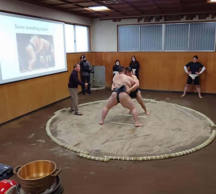 Tokyo: Sumo Show and Dining Experience - Learning the rules fast, then getting your turn