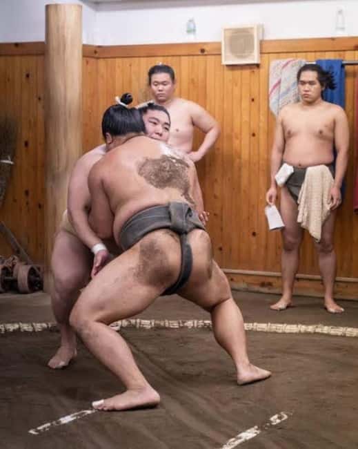 Tokyo: Sumo Show and Experience in Shinjuku - Key things to know before you go