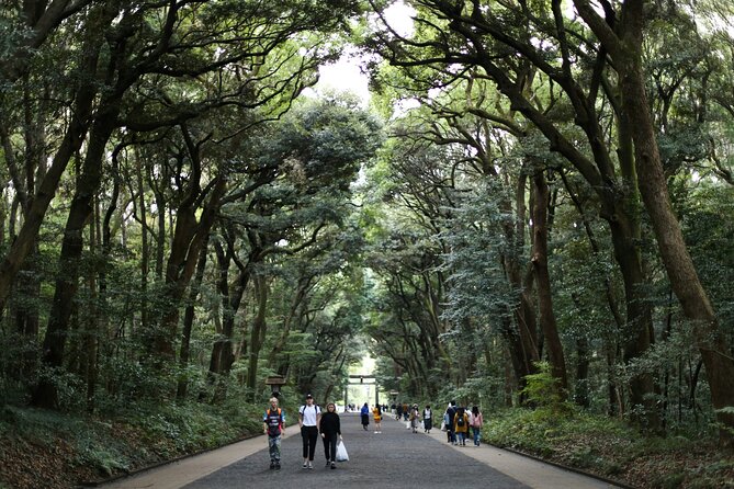 Tokyo Tailored 4 Hours Private Guided Tour - Asakusa and Senso-ji for 40 minutes: classic Tokyo with more than one highlight
