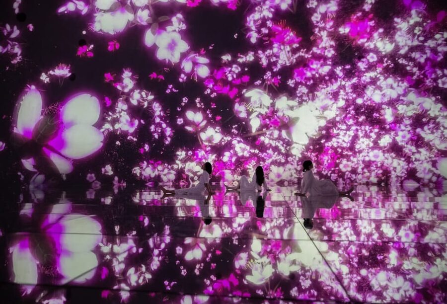 Tokyo: teamLab Planets TOKYO Digital Art Museum Entry Ticket - Should you book this ticket?