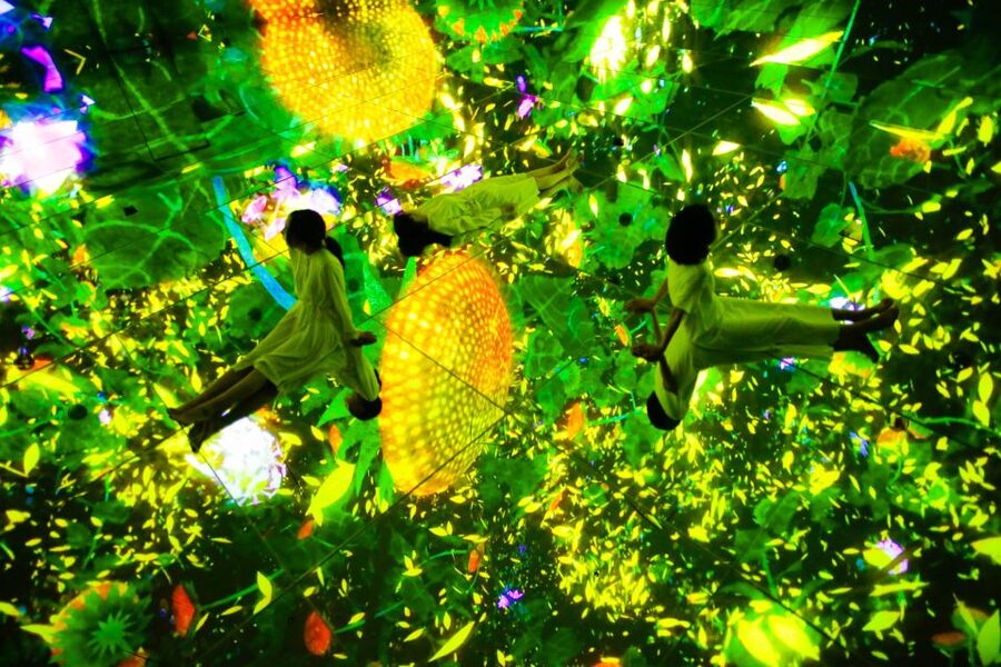 Tokyo: teamLab Planets TOKYO Digital Art Museum Entry Ticket - Price check: is $25 worth it?