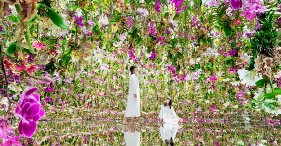 Tokyo: teamLab Planets TOKYO Digital Art Museum Entry Ticket - Quick tips I’d actually use on my own visit