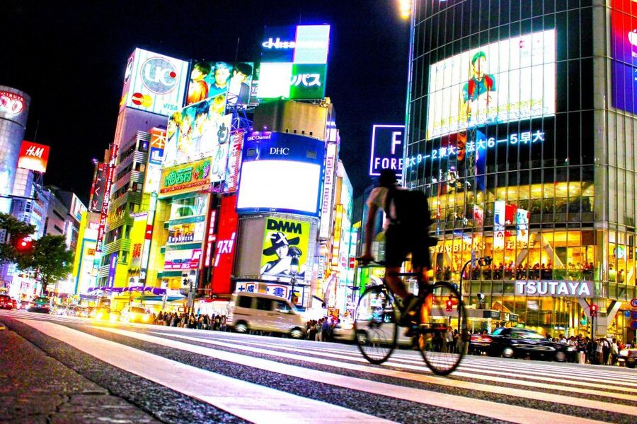 Tokyo: The Best Izakaya Tour in Shibuya - Price and Value: Is $236 Reasonable for This Shibuya Night?