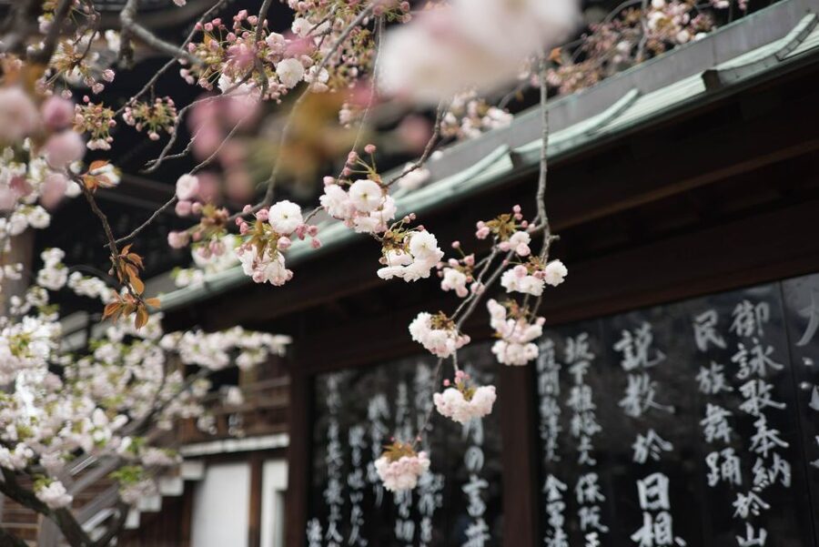 Tokyo to Kawagoe: Private Historical Day Trip - Toki no Kane bell tower and the castle town walls you can feel