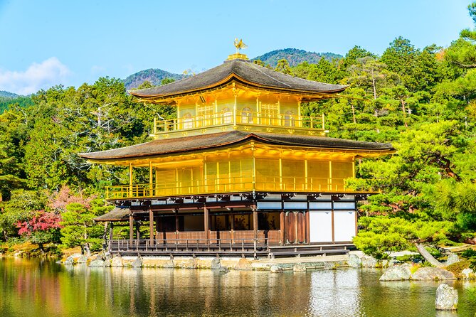 Tokyo to Kyoto 1-Full Day Private Guided Tour - Key Things I’d Remember Before You Go
