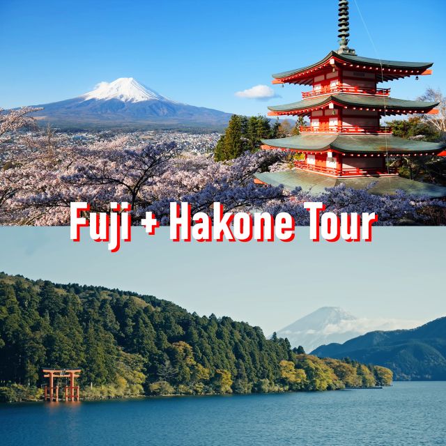 Tokyo to Mount Fuji and Hakone: Private Full-Day Tour - Price and value: when $707 per group makes sense