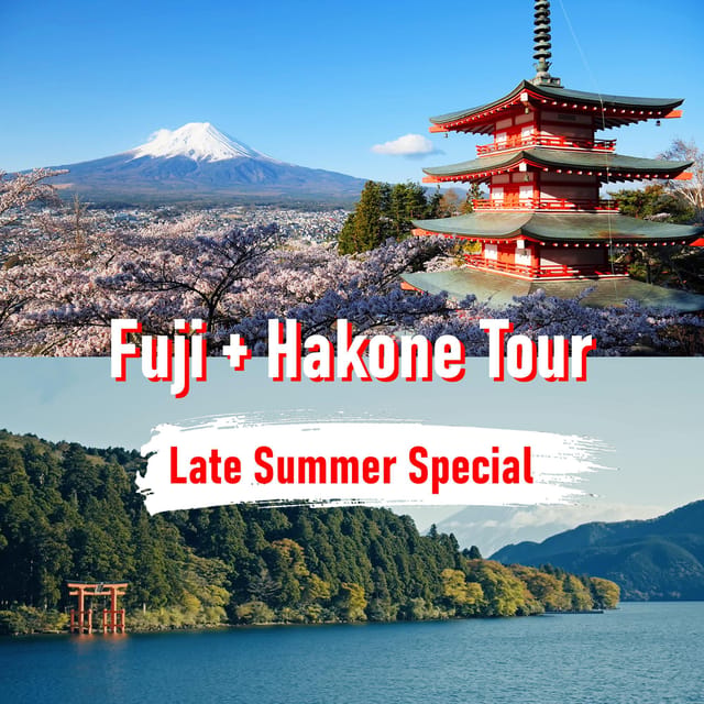 Tokyo to Mount Fuji and Hakone: Private Full-Day Tour - Hakone hot spring area: lakeside calm and easy walking time