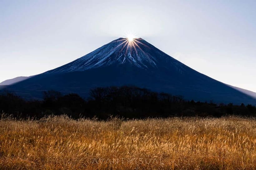 Tokyo To Mount FUJI Day Trip With English guide - Tokyo to Mount Fuji in One Long Day: What the Timing Feels Like