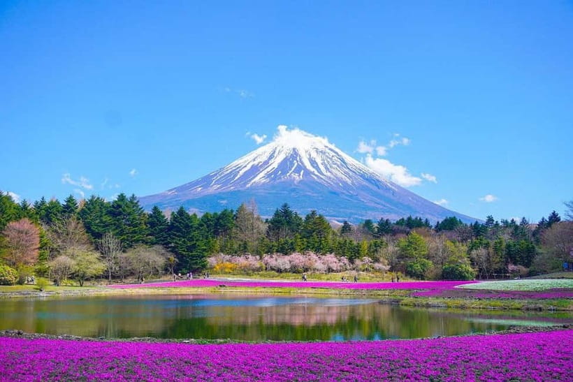 Tokyo To Mount FUJI Day Trip With English guide - English-Speaking Guide and Private Group: The Real Value
