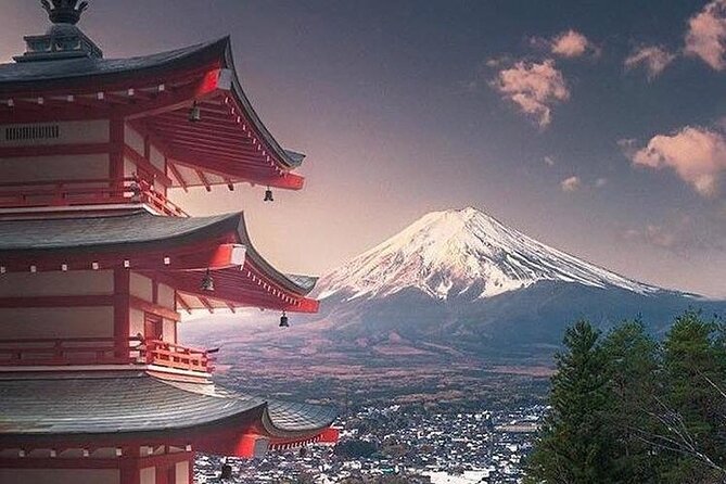 Tokyo To Mount Fuji Private English Guided Day Tour - A private Tokyo to Fuji day: why it feels less stressful