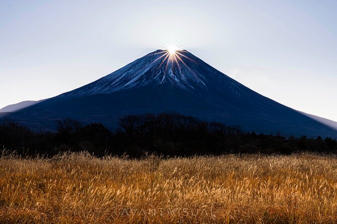 Tokyo To Mount Fuji Private English Guided Day Tour - Tokyo pickup and getting there comfortably in an air-conditioned vehicle