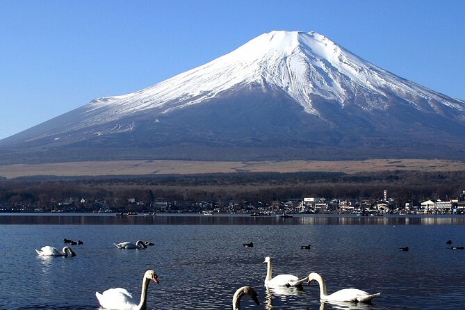 Tokyo To Mount Fuji Private English Guided Day Tour - Arakurayama Sengen Park: a short stair hike with a city and Fuji view