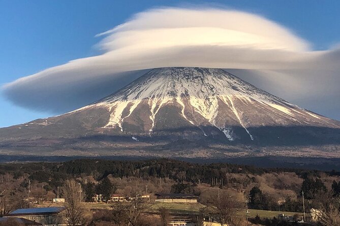 Tokyo To Mount Fuji Private English Guided Day Tour - Stop 1, Mt Fuji Subaru Line 5th Station, the close-view target
