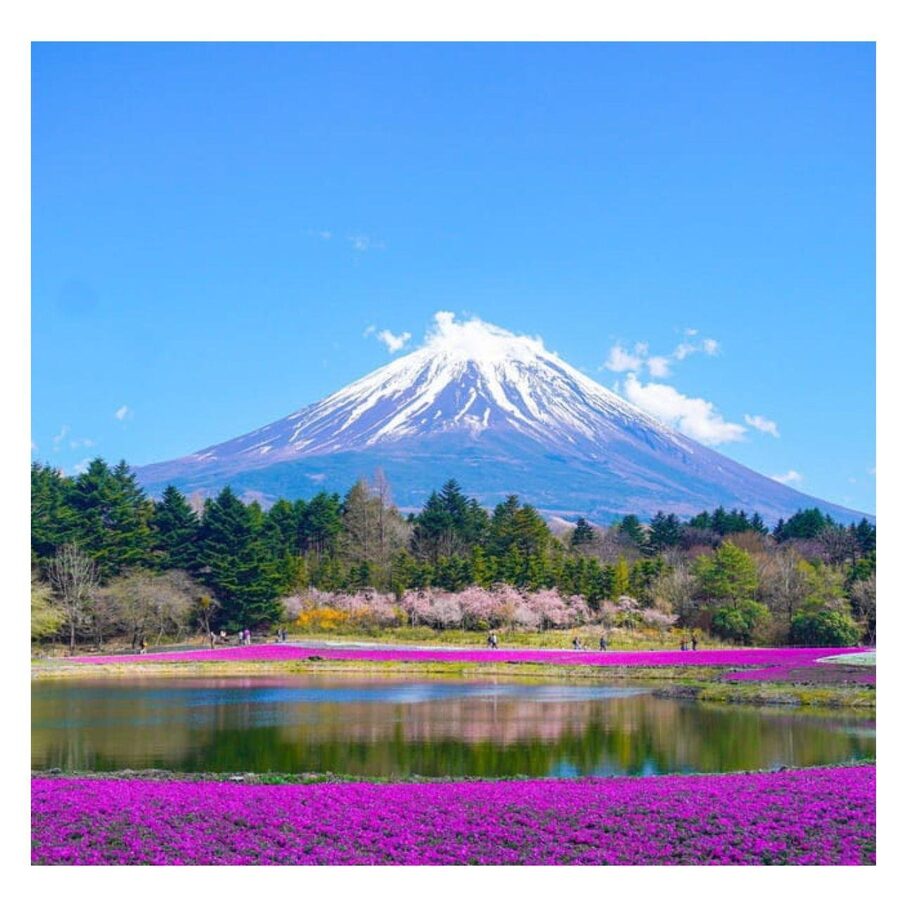 “Tokyo to Mt. Fuji & Hakone: Private Customizable Day Trip” - Arakurayama Sengen Park and Chureito Pagoda: The Fuji Photo Challenge Done Right