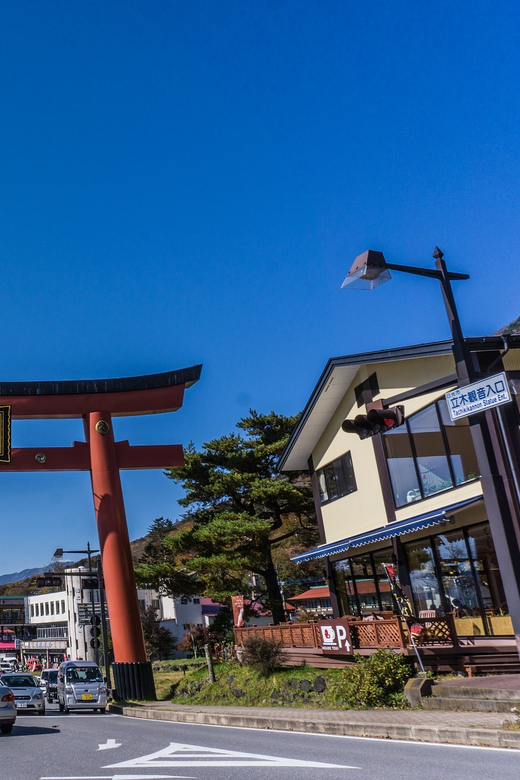 Tokyo to Nikko: Exclusive Private Day Trip - Who this Nikko day trip suits best