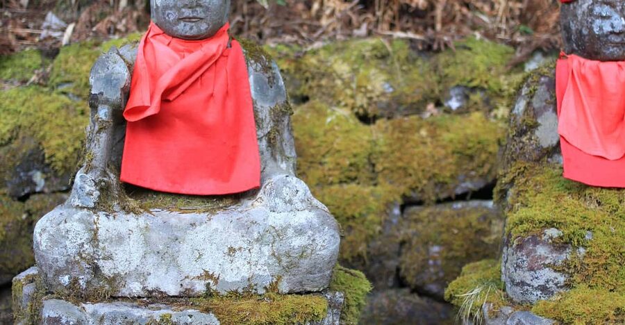Tokyo to Nikko: Exclusive Private Day Trip - A private guide is what makes Nikko click