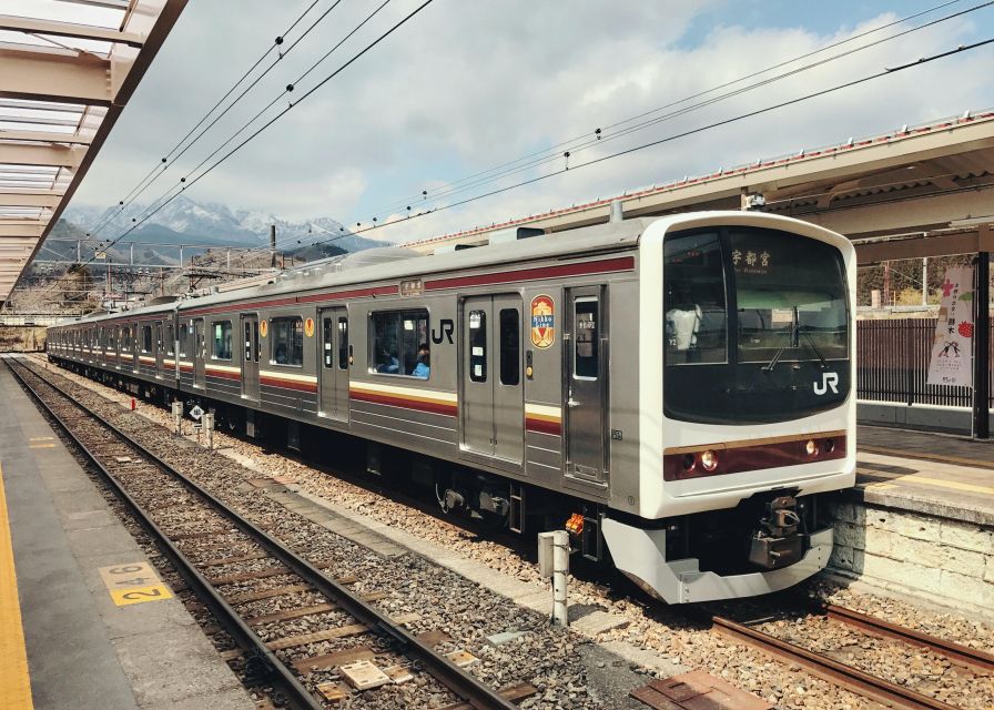 Tokyo to Nikko: Exclusive Private Day Trip - Lake Chūzenji and Kegon Falls: the 97-meter moment