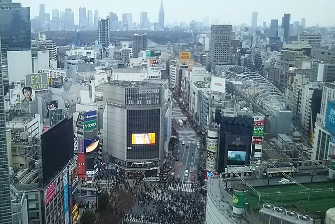 Tokyo Toilet Tour - Should you book this Tokyo Toilet Tour?