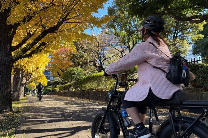 Tokyo Top Highlights 3h Guided E-bike Tour - Tokyo Bay Route at Sunset and Night: Shrines, Skytree Views, teamLab Planets, and Odaiba Stops