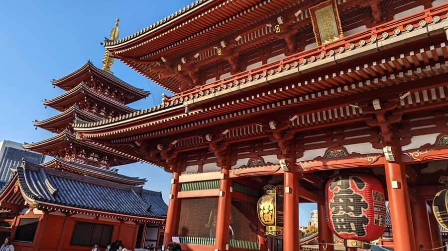 Tokyo: Tour Privado por Tokio en español - Ueno Park and Sakura Avenue, where spring vibes linger