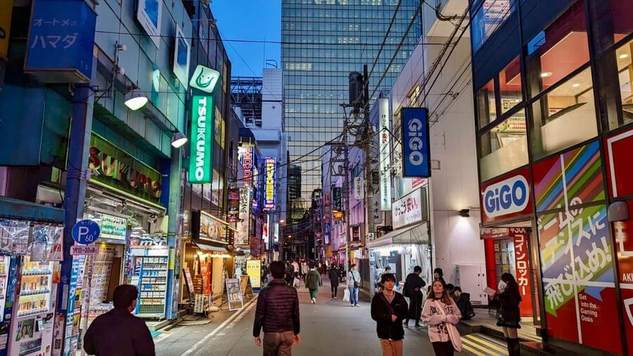Tokyo: Tour Privado por Tokio en español - Akihabara secrets: anime, manga, games, and electronics