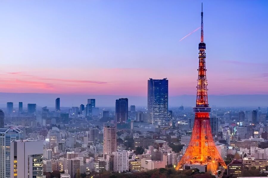 Tokyo Tower: Entry Ticket & Private Hotel Pickup Service - Key points to know before you go