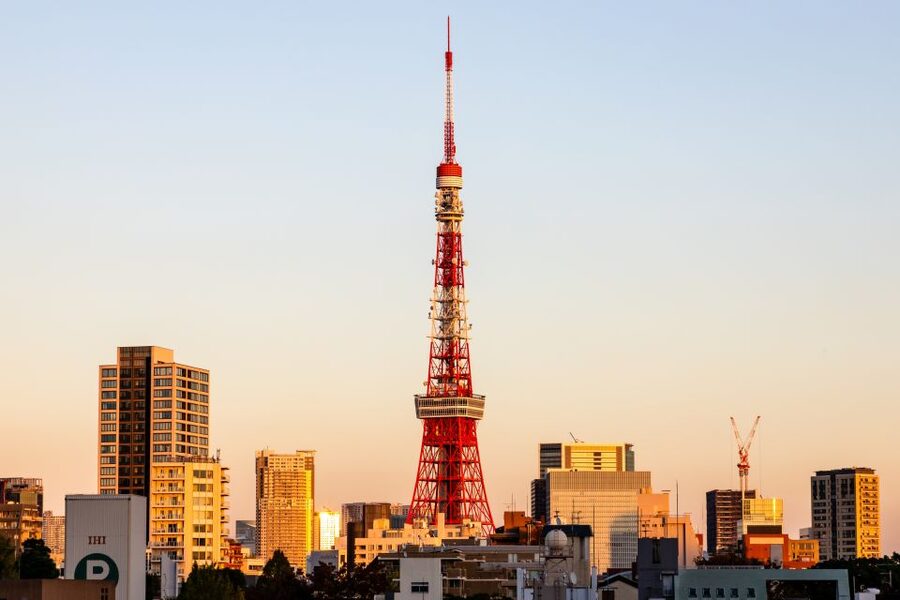 Tokyo Tower: Entry Ticket & Private Hotel Pickup Service - Should you book this Tokyo Tower private pickup and ticket?
