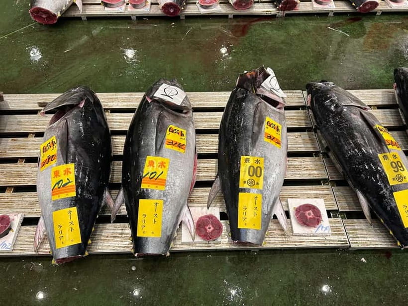 Tokyo Toyosu Tuna Auction + Breakfast (Sushi Dai or Bentomi) - Key points I’d prioritize