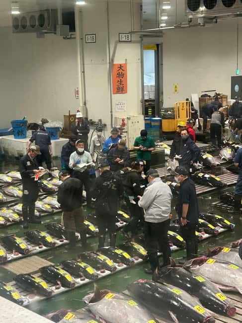 Tokyo Toyosu Tuna Auction + Breakfast (Sushi Dai or Bentomi) - Practical Tips for a 5:25 AM Start (What to Bring and How to Arrive)