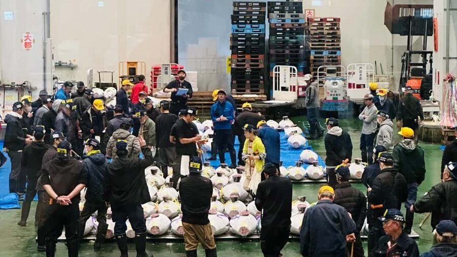 Tokyo: Toyosu Tuna Auction &Tsukiji Market Gourmet Adventure - Toyosu breakfast: what you actually eat at 6:30 to 7:15