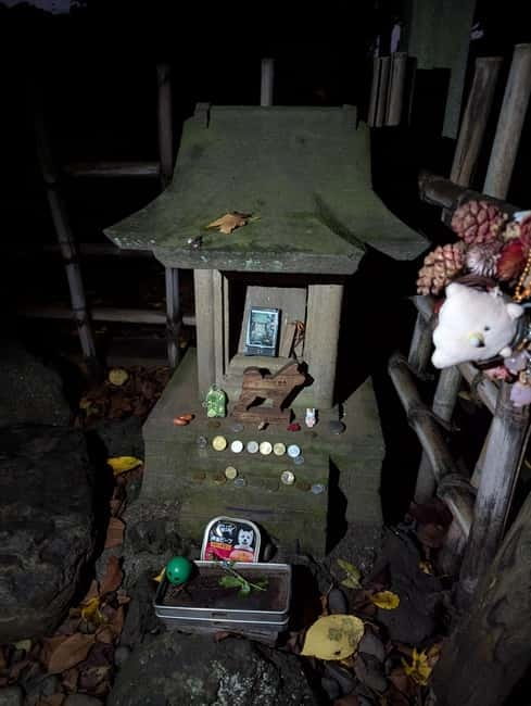 Tokyo: True Crime And Ghost Stories Tour - Quick hits: what you’ll get for your $35