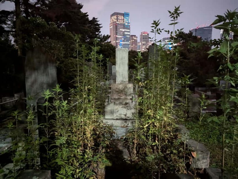 Tokyo: True Crime And Ghost Stories Tour - John the guide: acting, jokes, and how he keeps the group with him