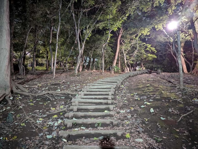 Tokyo: True Crime And Ghost Stories Tour - Is $35 a good deal for this kind of Tokyo night tour?
