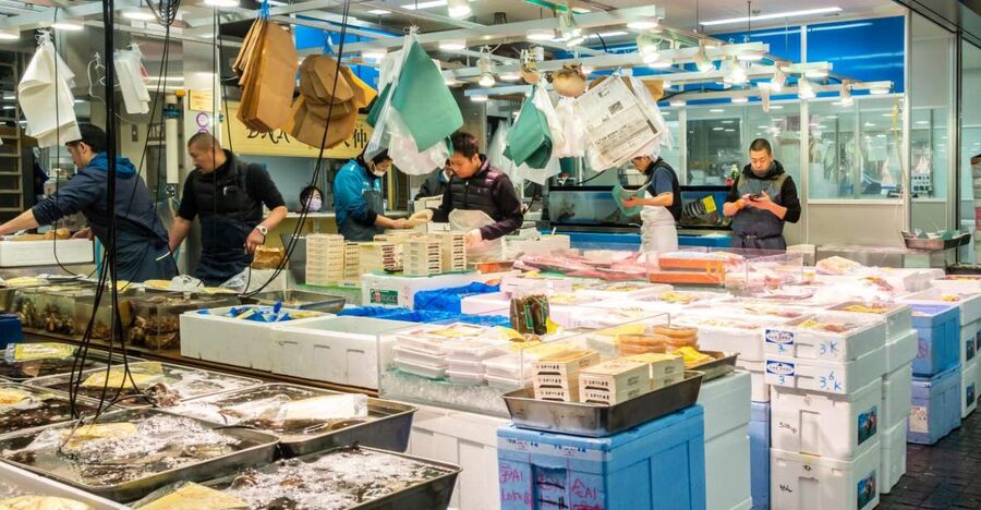 Tokyo Tsukiji Food & Culture Private Tour Licensed Guide - Why Tokyo Tsukiji and Toyosu Still Drive the Food Story