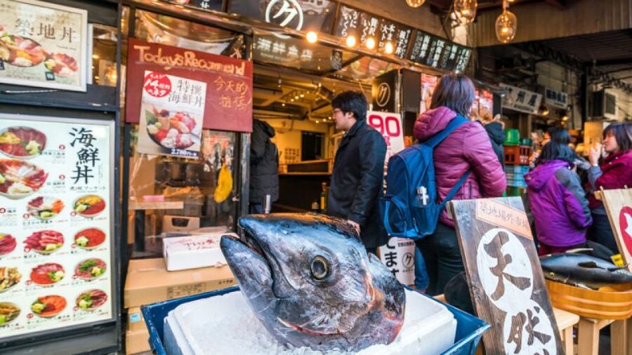 Tokyo Tsukiji Food & Culture Private Tour Licensed Guide - Toyosu Market and Tsukiji Outer Market: What to Expect on Foot