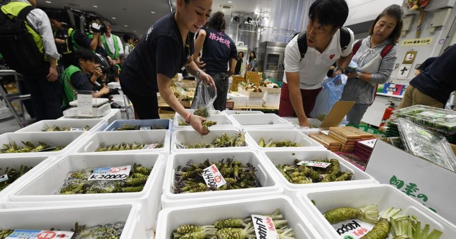 Tokyo Tsukiji Food & Culture Private Tour Licensed Guide - Price and Logistics: What $141 Buys, and What You Must Budget