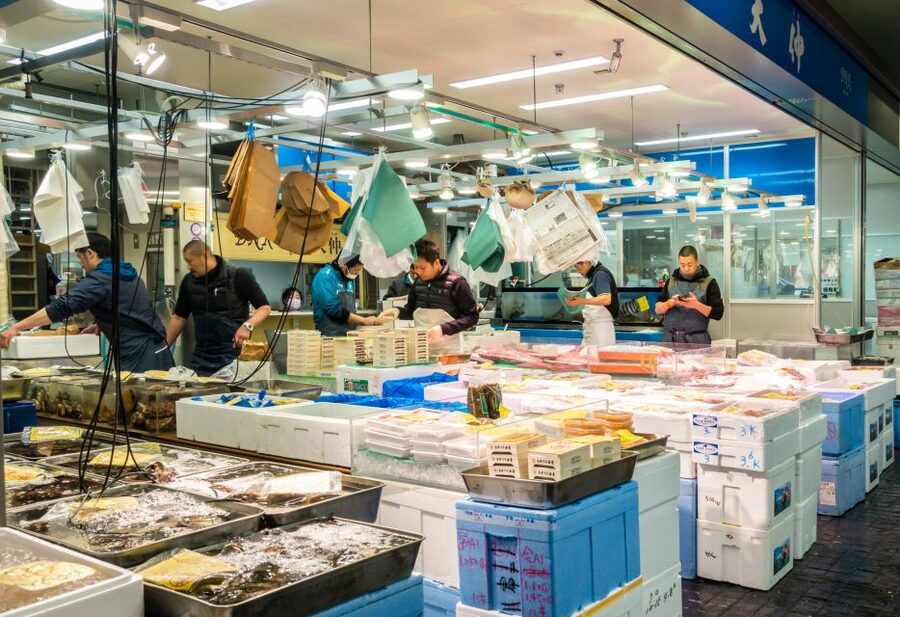 Tokyo Tsukiji Food & Culture Private Tour Licensed Guide - 6 Hours, 3 to 4 Stops, and How the Site Choices Work