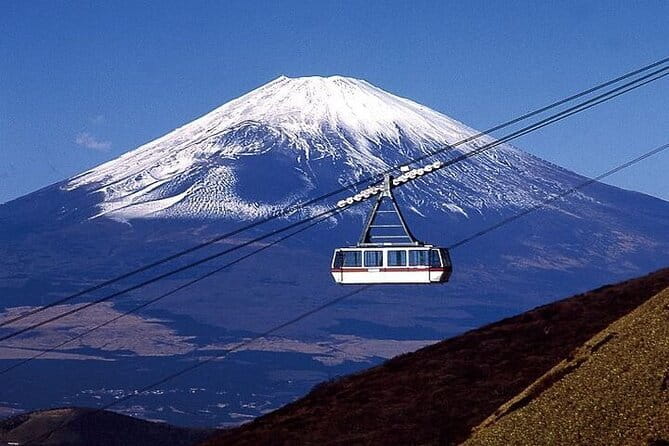 Tokyo Ueno Food & Nature & Localtown Tour: 10Dishes+ Drinks - Price and value: $120 for 10 dishes plus guided context