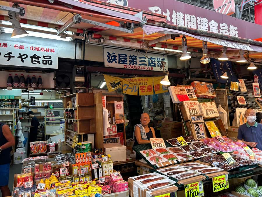 Tokyo Ueno Food Tour: Where Food, Culture & Chaos Collide! - Ueno Park walk: what you should pay attention to (beyond the photos)